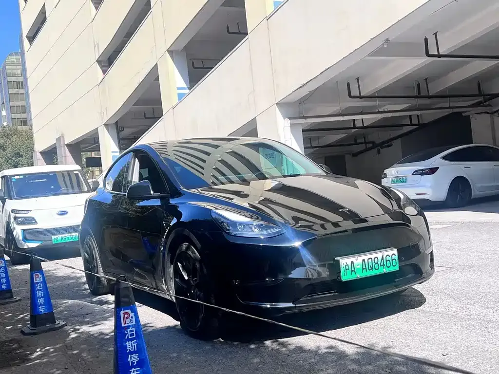 Tesla Model Y — фото 1