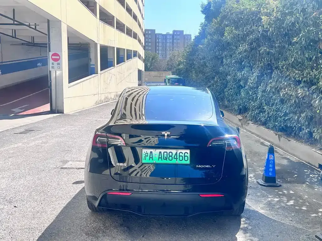 Tesla Model Y — фото 6