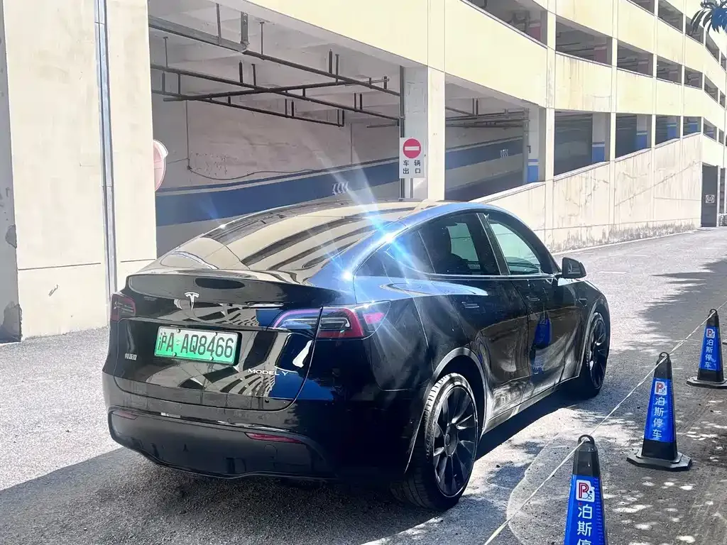 Tesla Model Y — фото 3