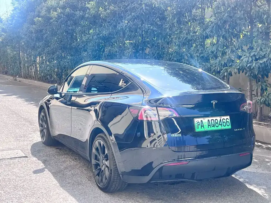 Tesla Model Y — фото 5