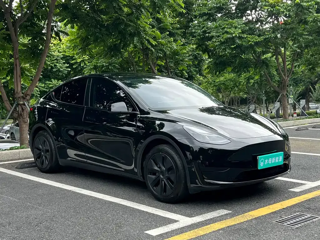 Tesla Model Y — фото 8
