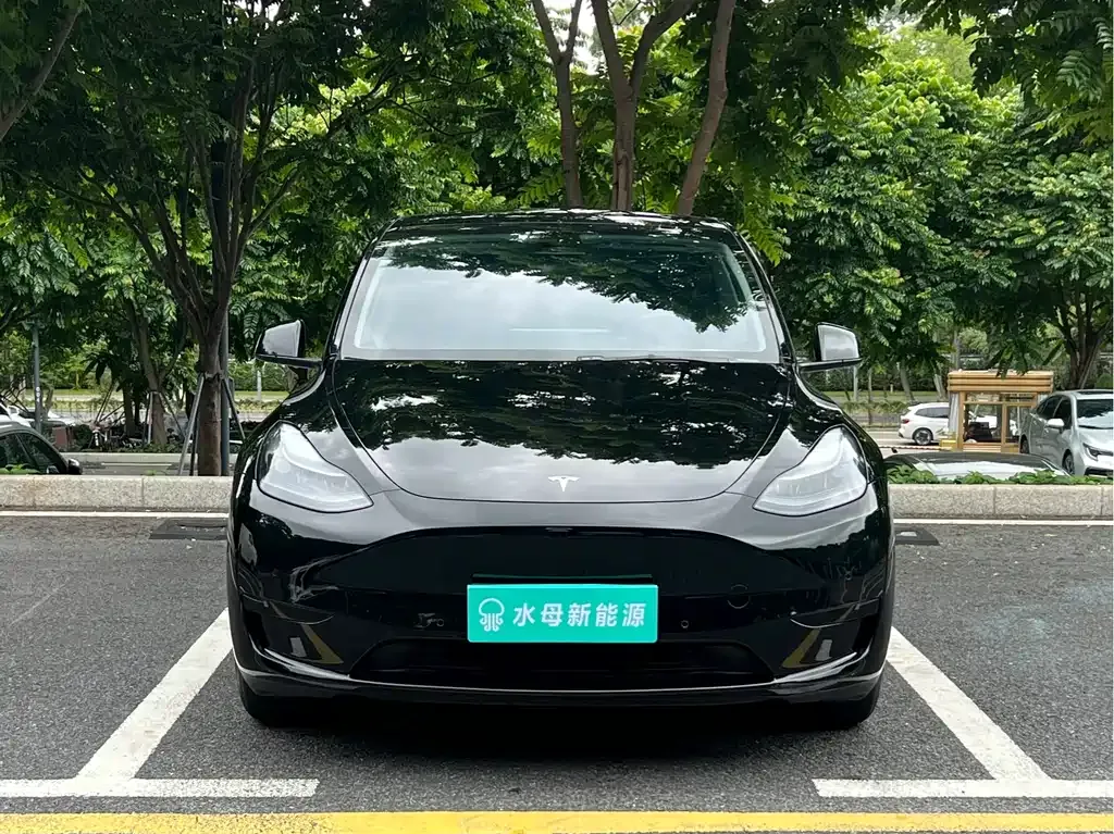 Tesla Model Y — фото 9