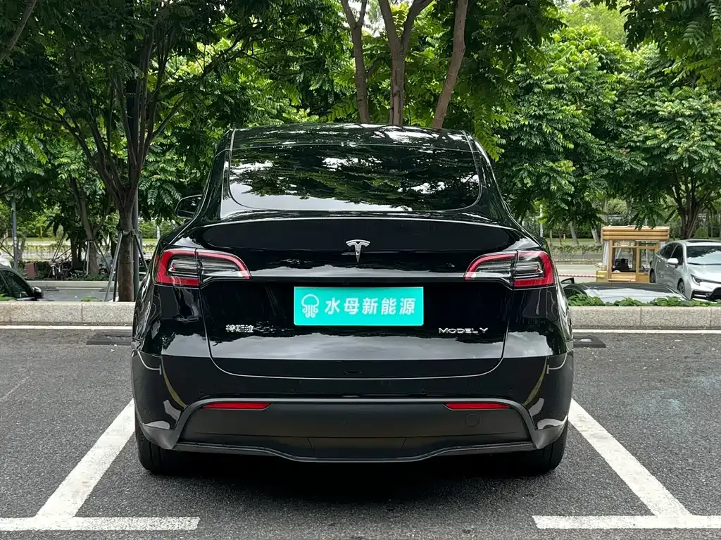 Tesla Model Y — фото 3