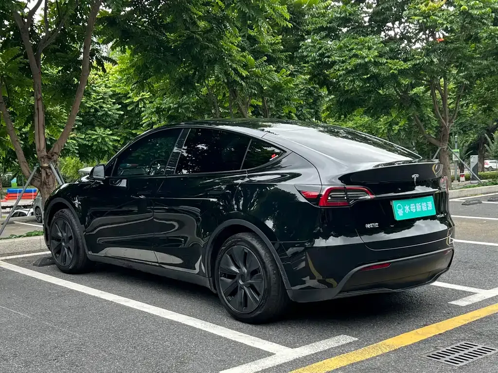 Tesla Model Y — фото 6