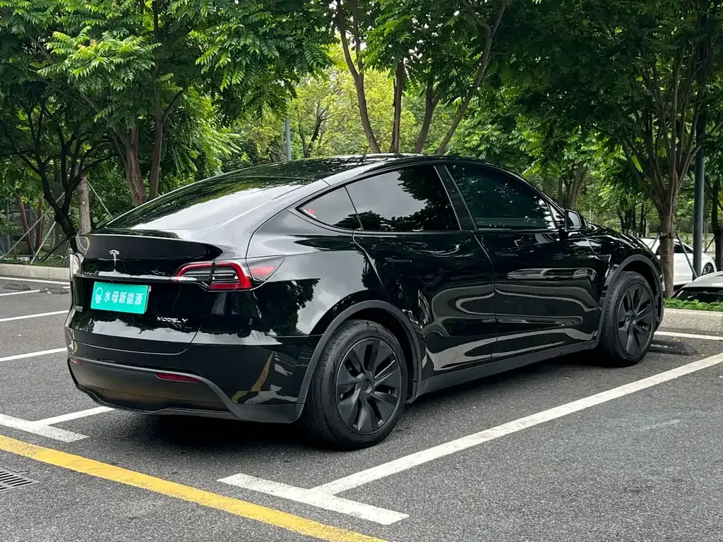 Tesla Model Y — фото 7
