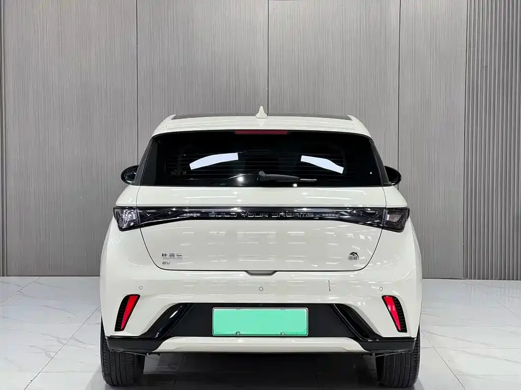 BYD Dolphin 2023 из CN, фото 10