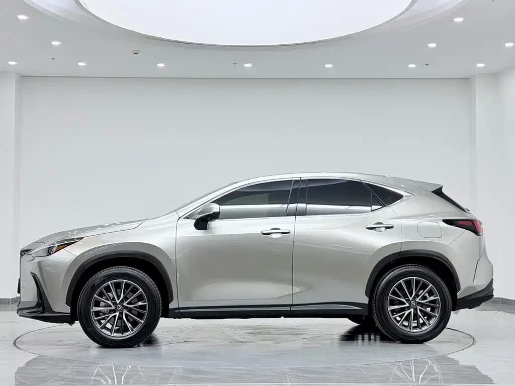 Lexus NX — фото 6