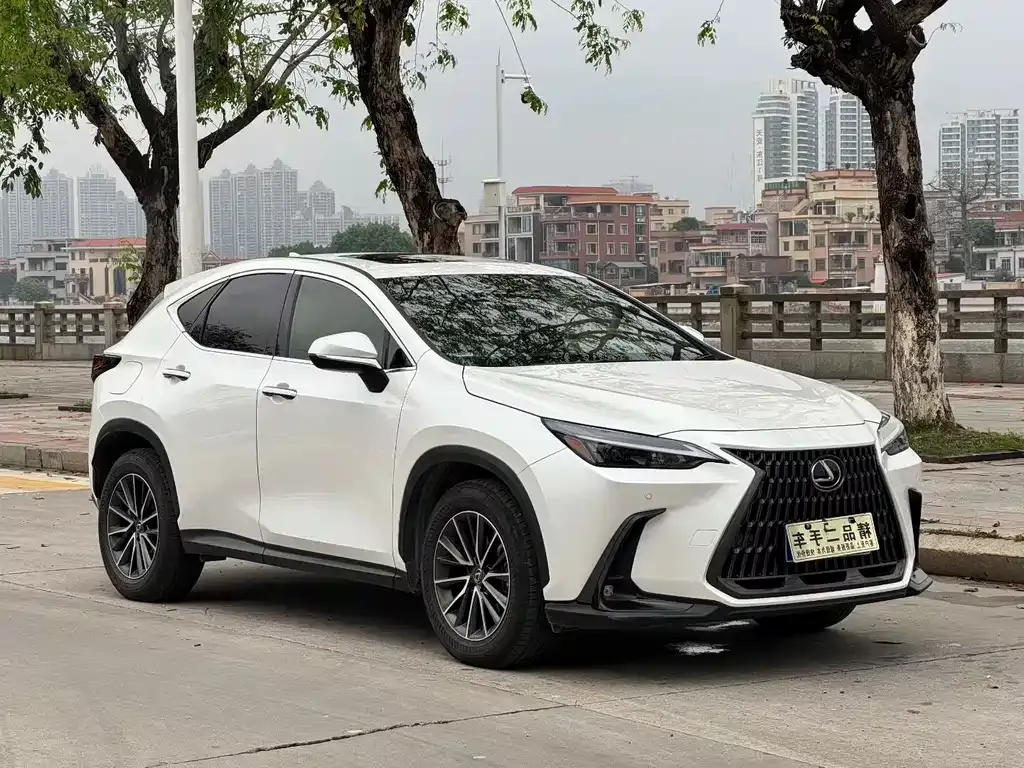 Lexus NX — фото 1