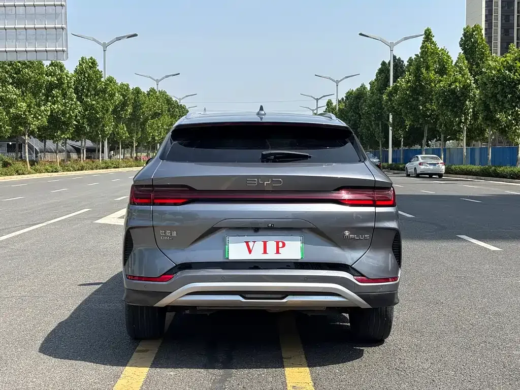 BYD PLUS New Energy — фото 9