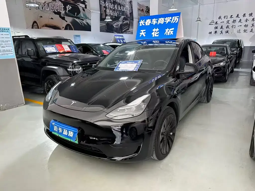 Tesla Model Y — фото 1