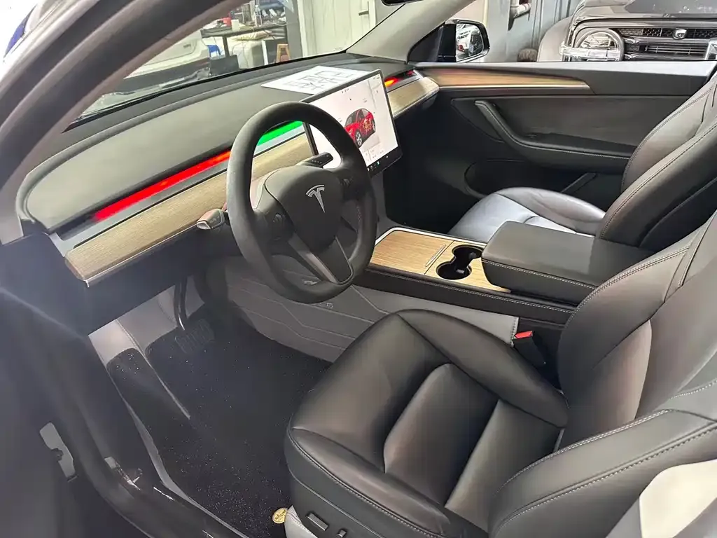 Tesla Model Y — фото 10