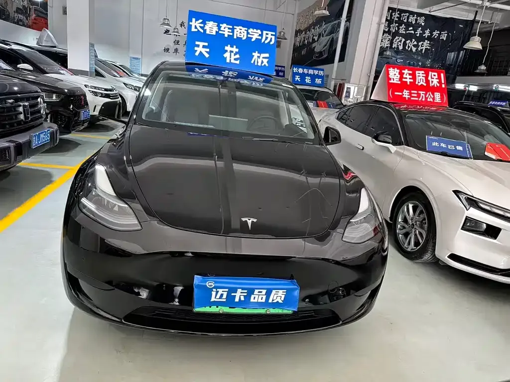 Tesla Model Y — фото 8