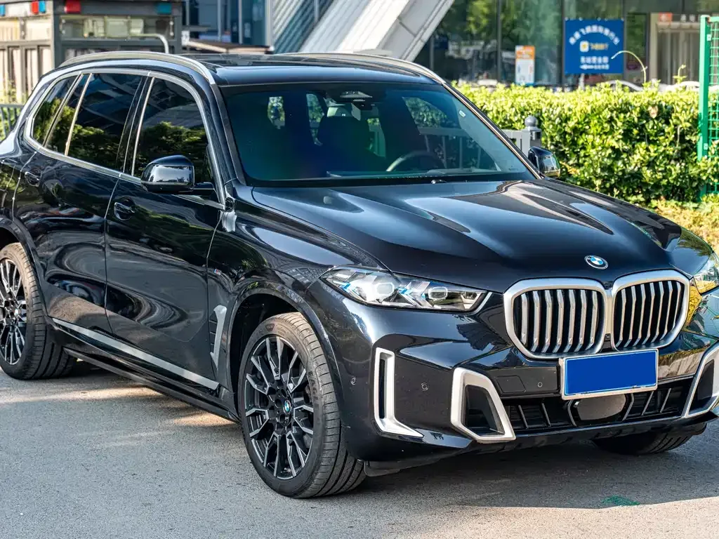 BMW X5 — фото 10