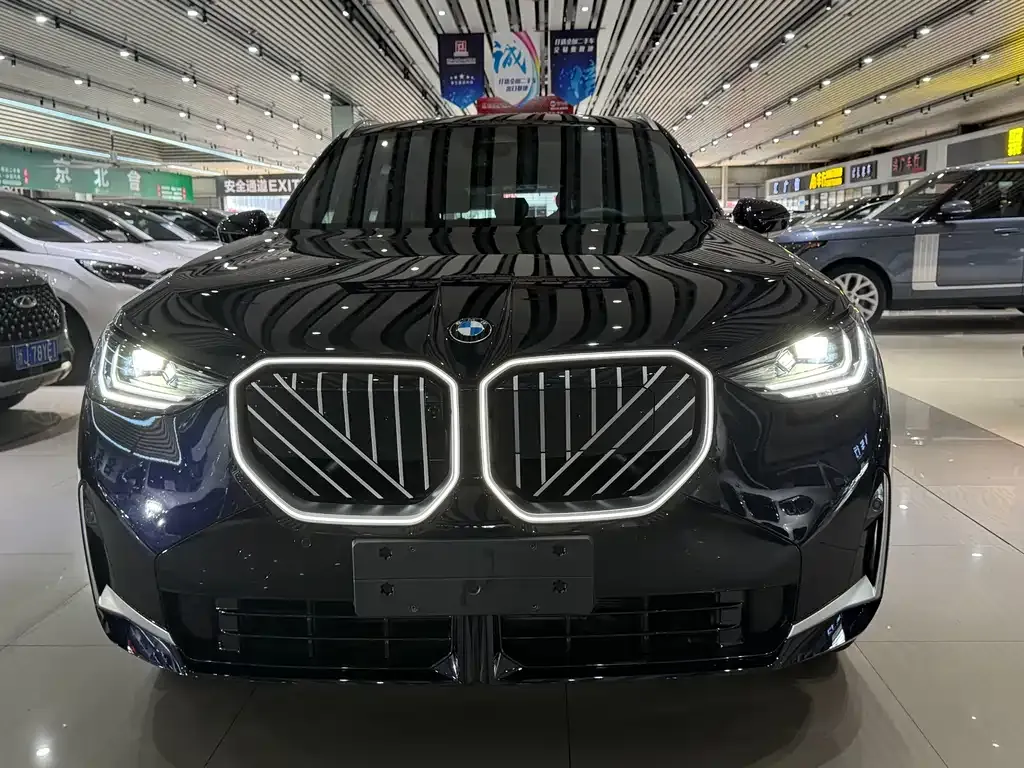 BMW X3 — фото 8
