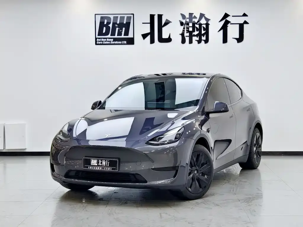 Tesla Model Y — фото 1