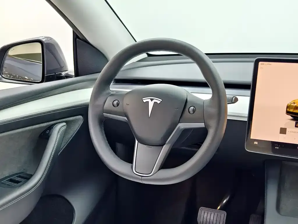 Tesla Model Y — фото 10