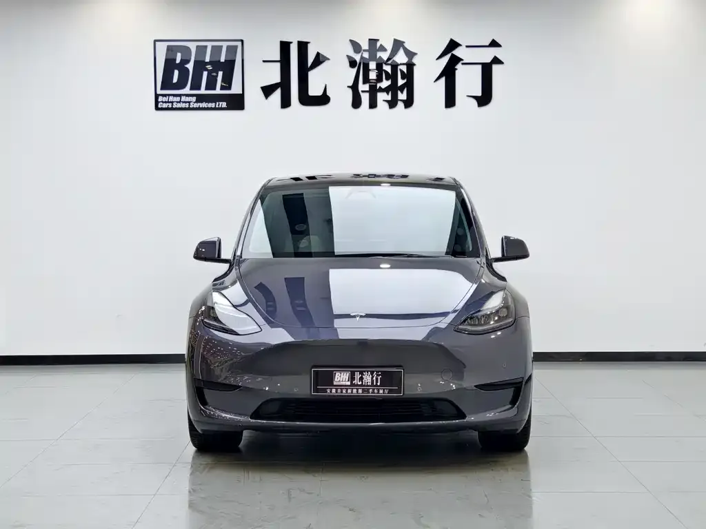 Tesla Model Y — фото 2