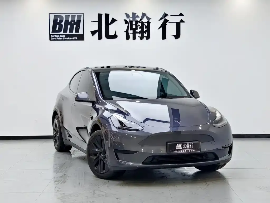 Tesla Model Y — фото 6