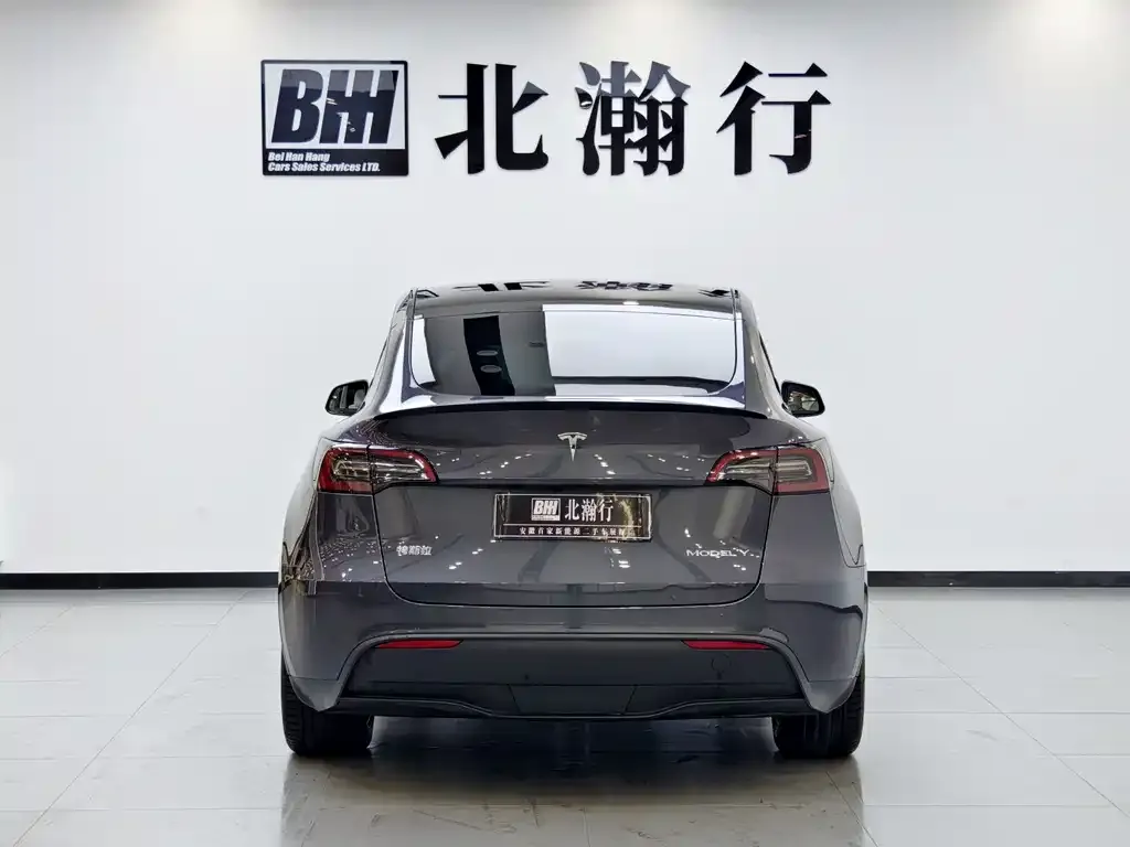 Tesla Model Y — фото 3