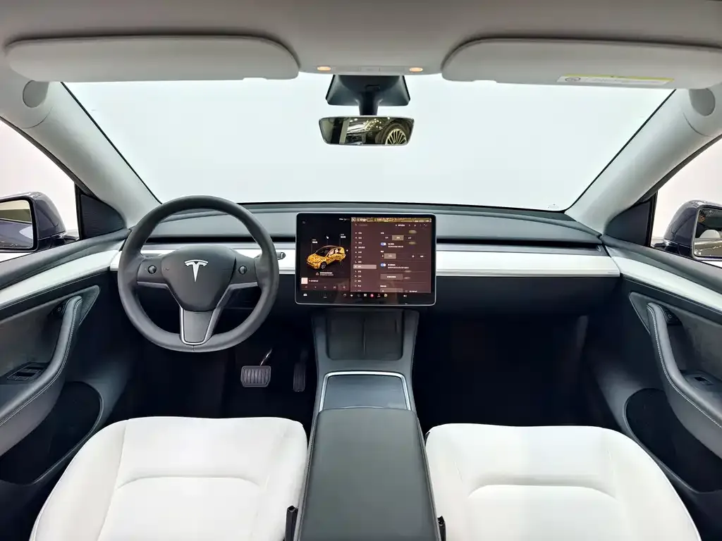 Tesla Model Y — фото 9