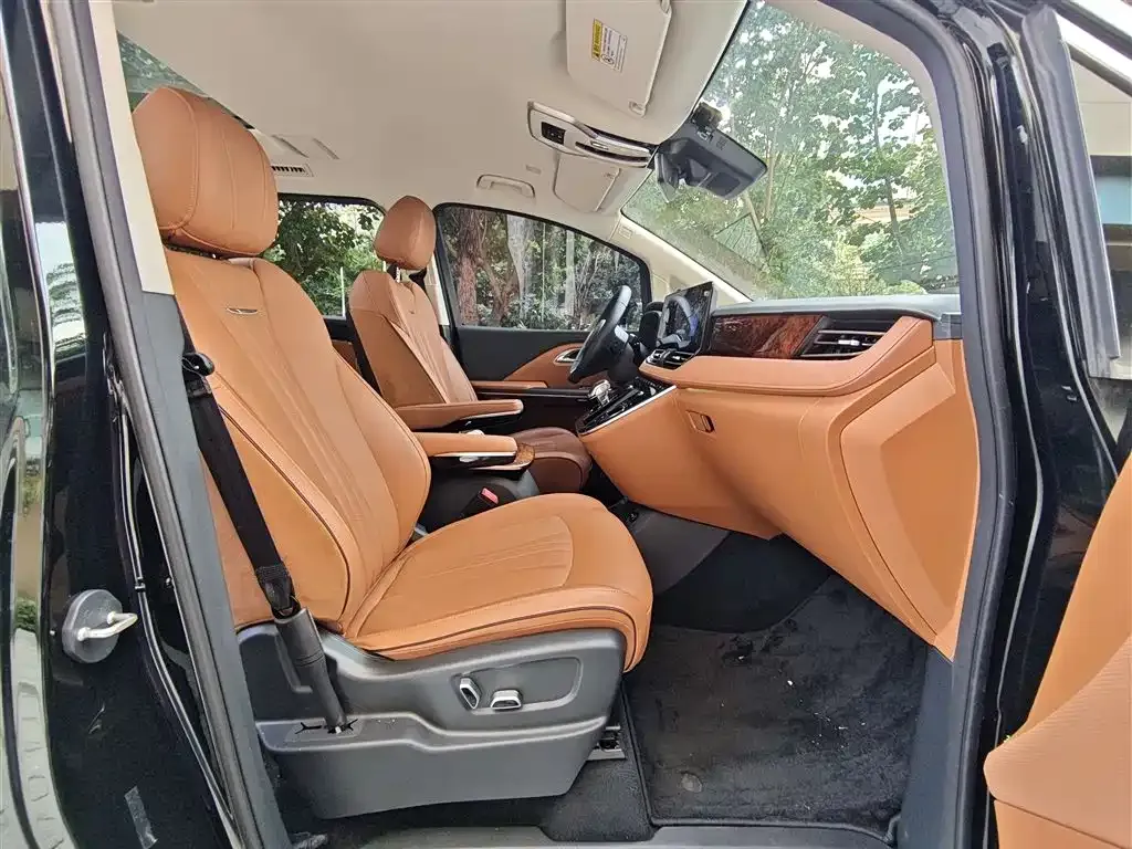 Hongqi HQ9 PHEV 2024 из CN, фото 5