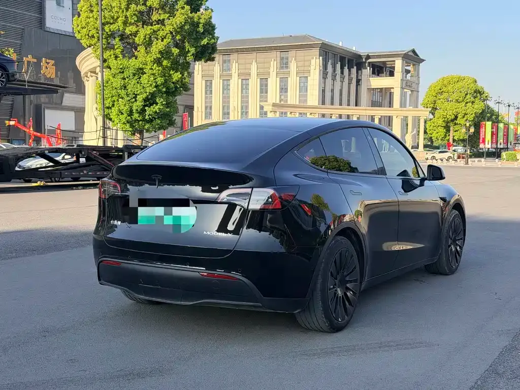 Tesla Model Y — фото 8