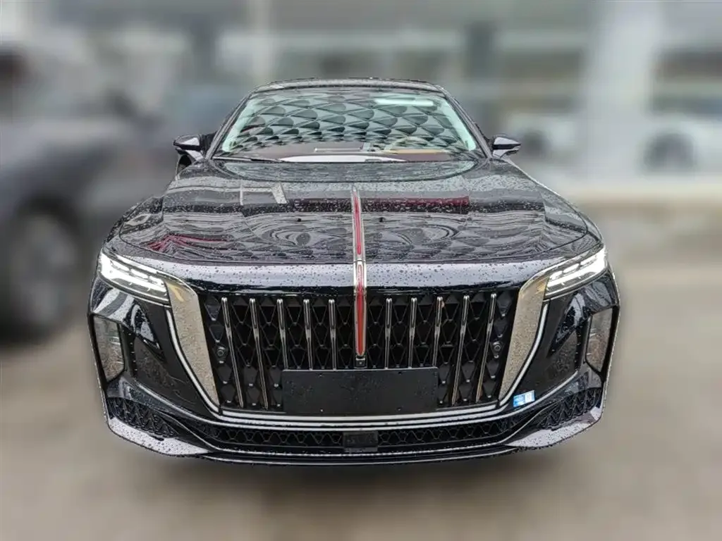 Hongqi H9 2025 из CN, фото 6