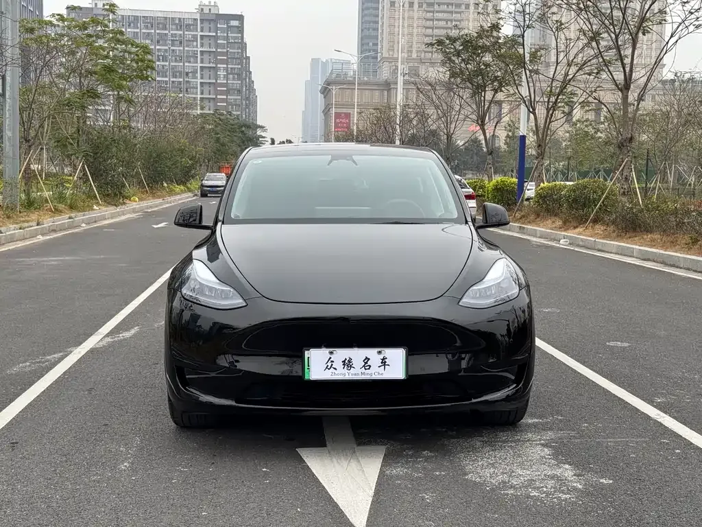 Tesla Model Y — фото 9