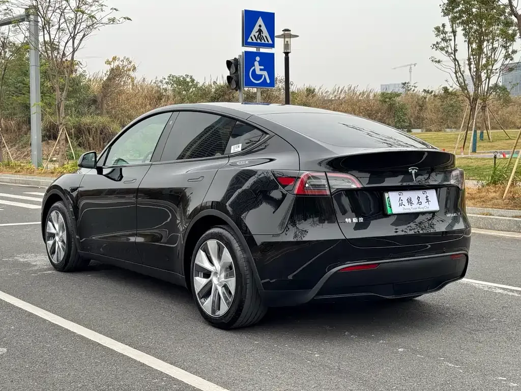 Tesla Model Y — фото 6