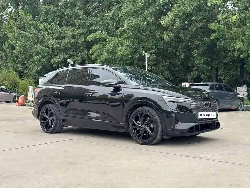 Audi Q5 e-tron 2023 из CN, фото 3