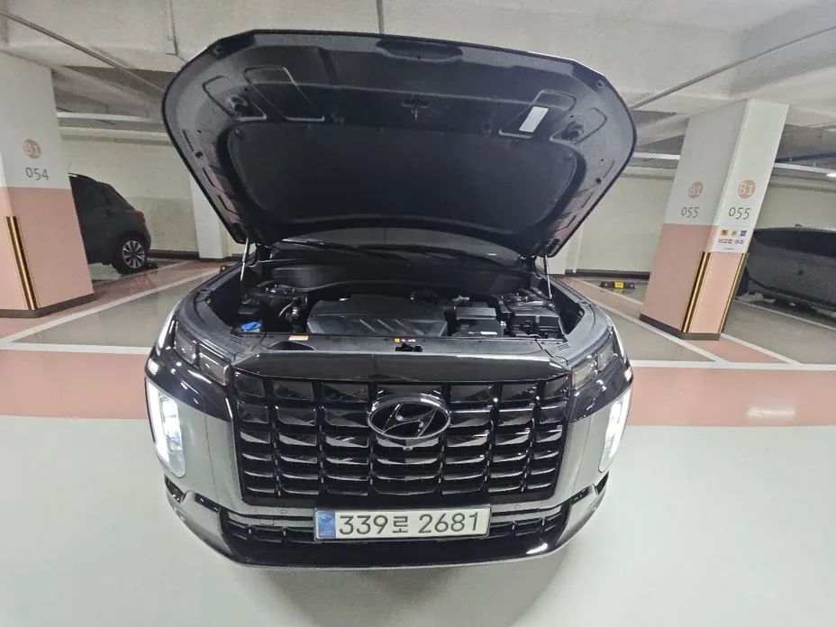 Hyundai Palisade — фото 6