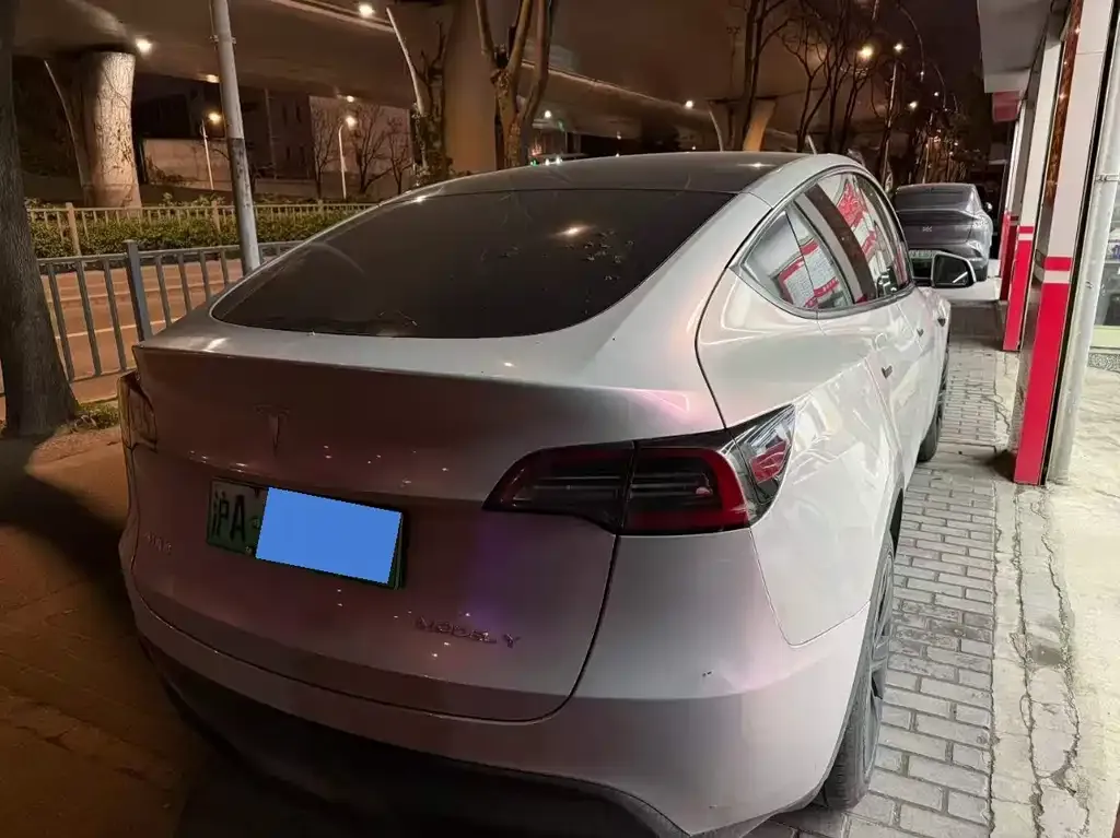 Tesla Model Y — фото 8