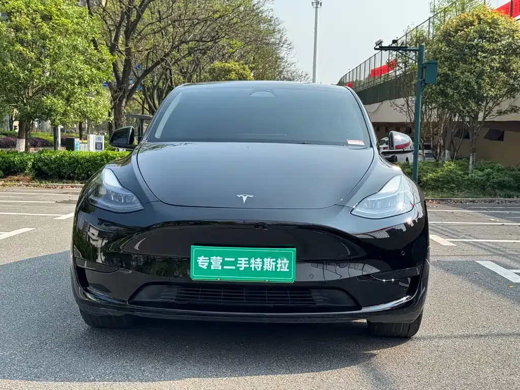 Tesla Model Y — фото 1