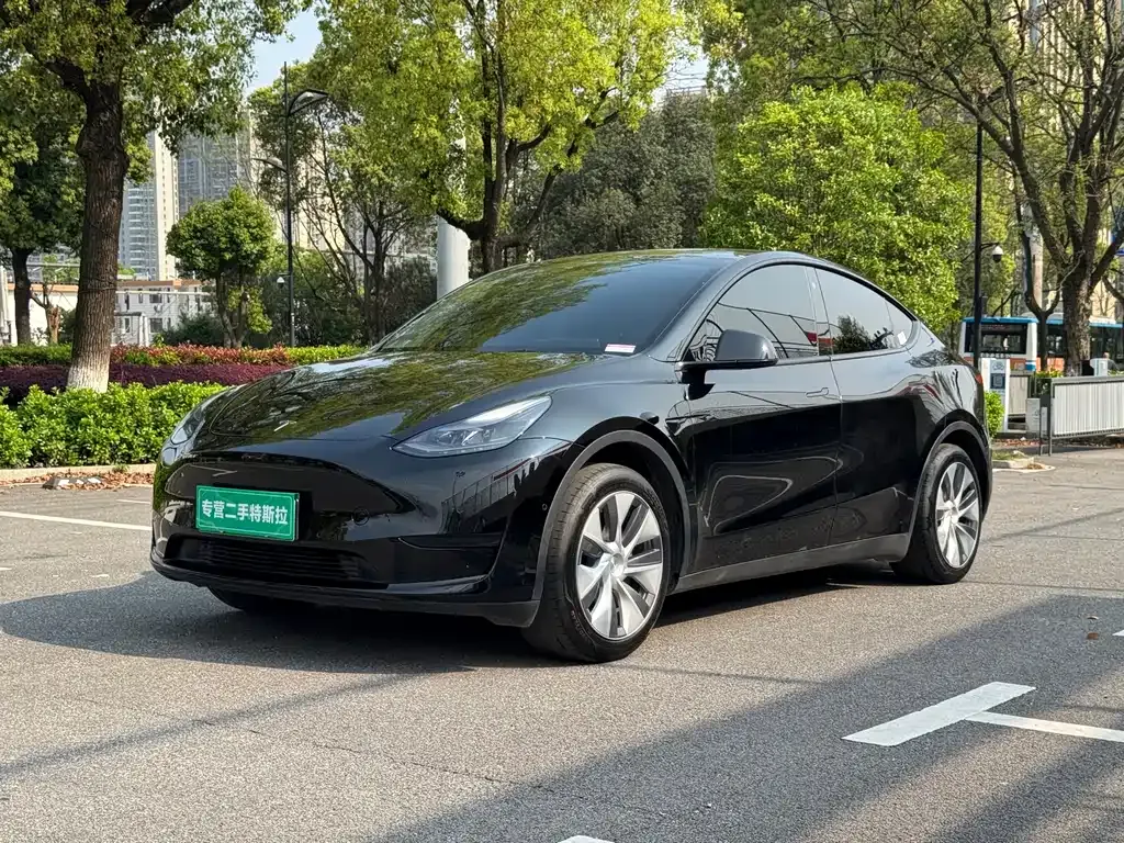 Tesla Model Y — фото 9