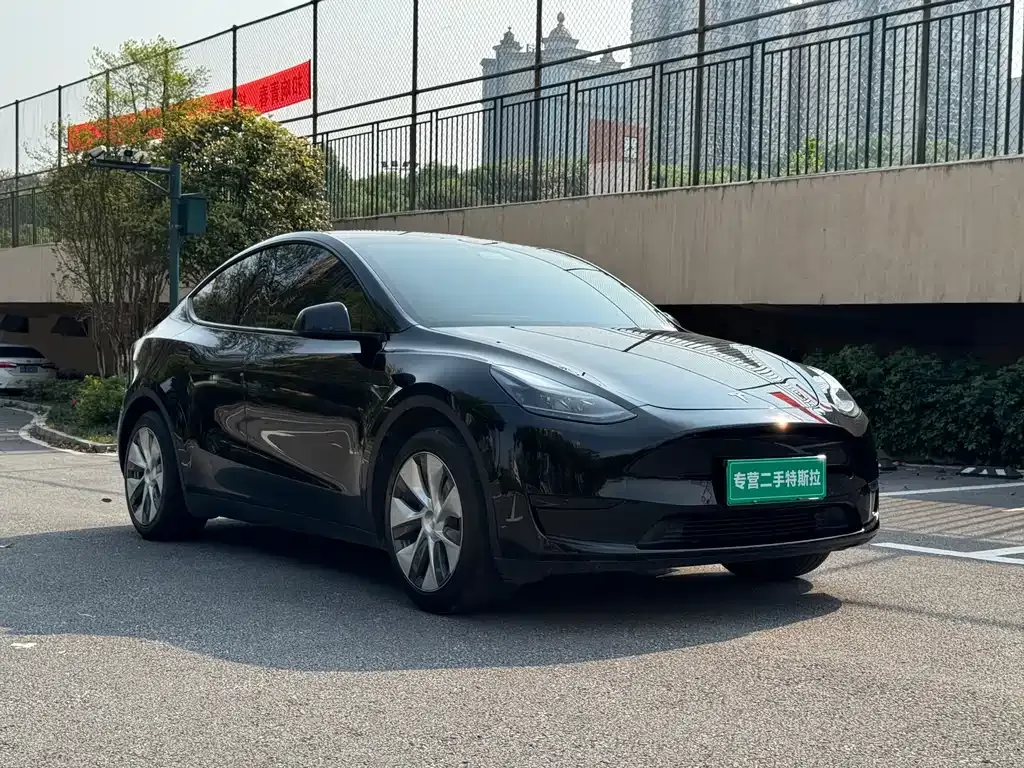 Tesla Model Y — фото 8
