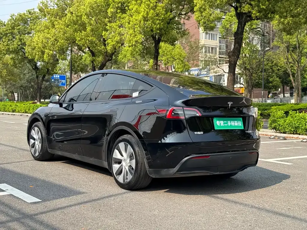 Tesla Model Y — фото 4