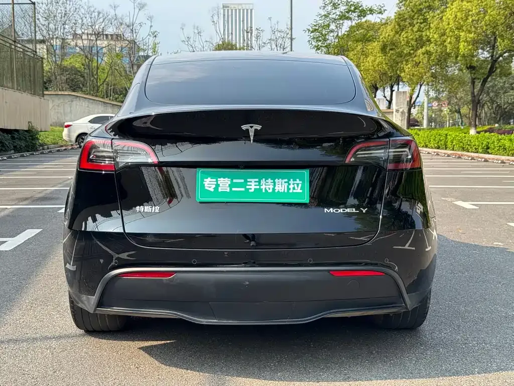 Tesla Model Y — фото 7