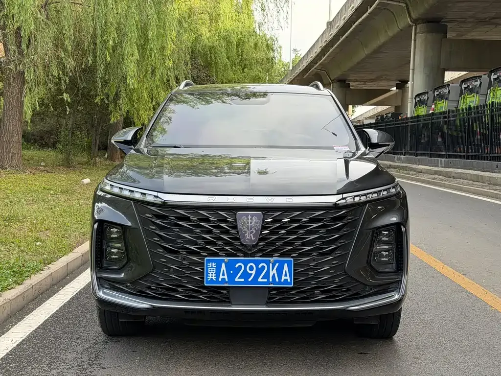 Roewe RX5 MAX 2022 из CN, фото 8