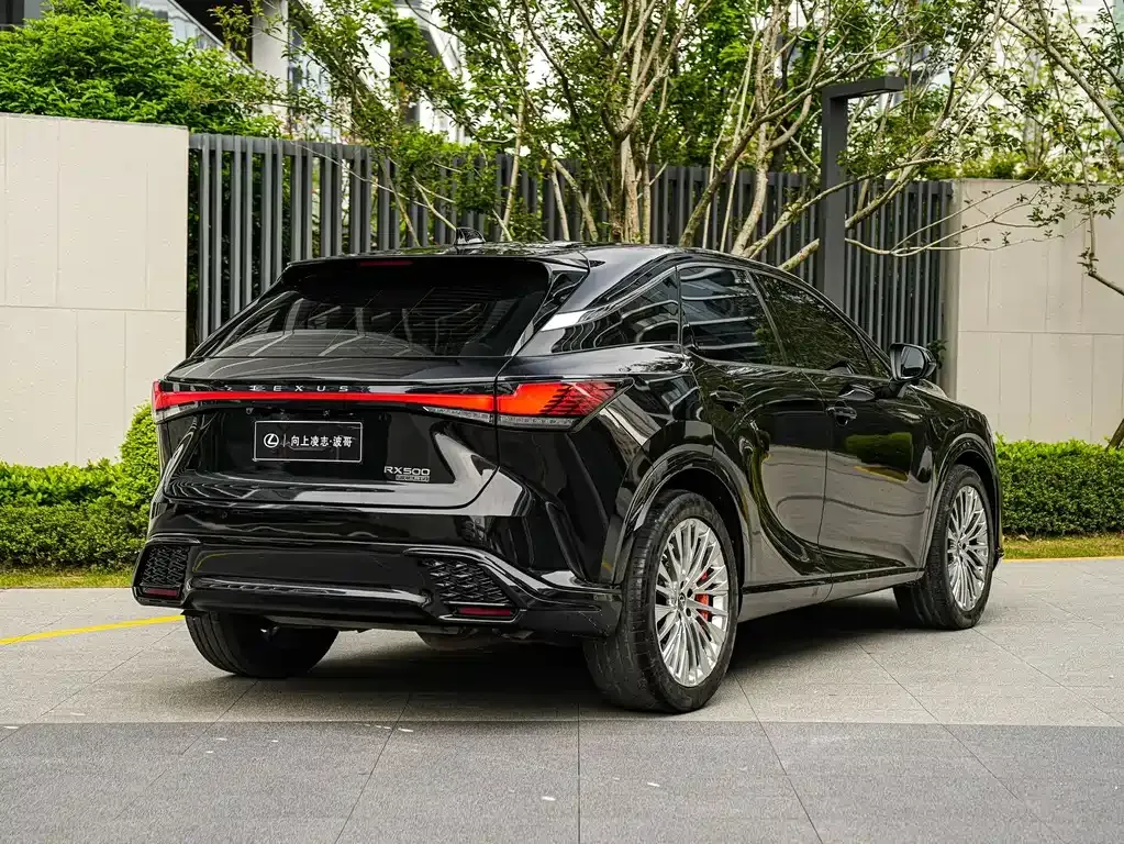 Lexus RX — фото 10
