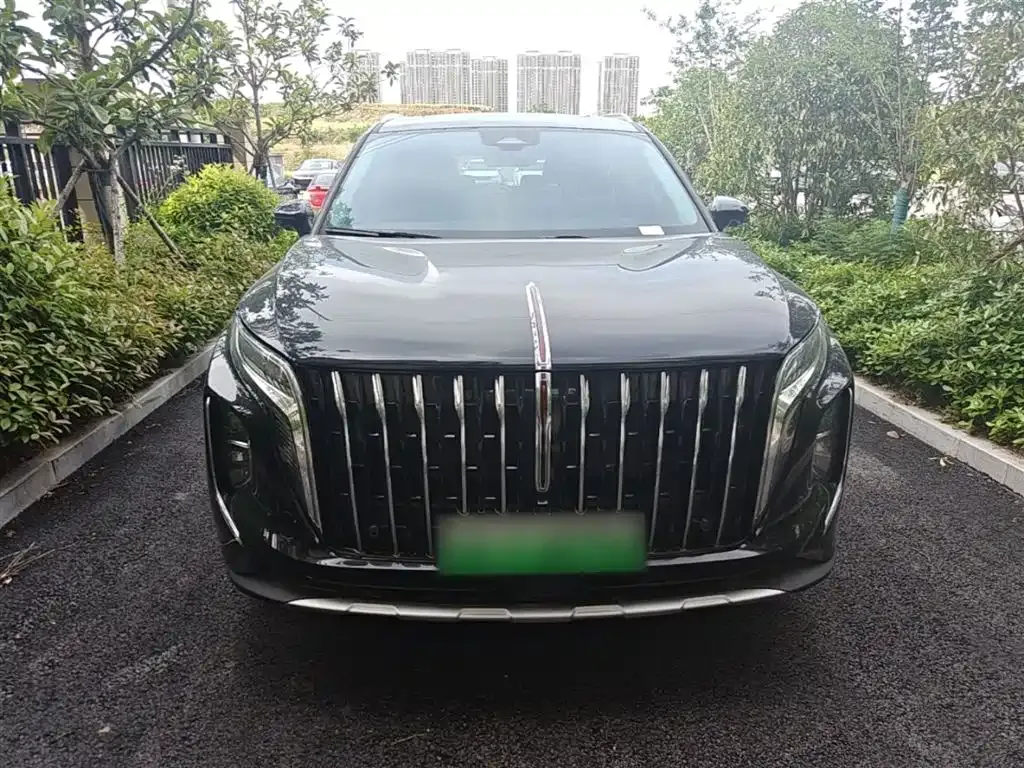 Hongqi HS7 PHEV — фото 7