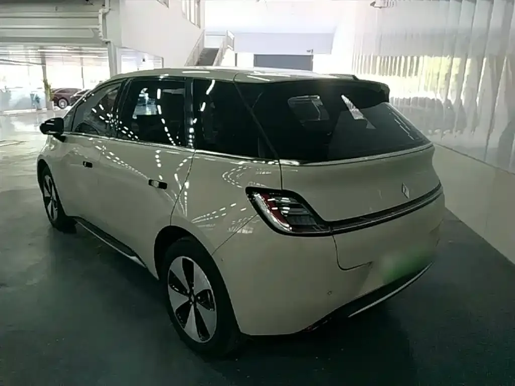Baojun Yunduo 2024 из CN, фото 7