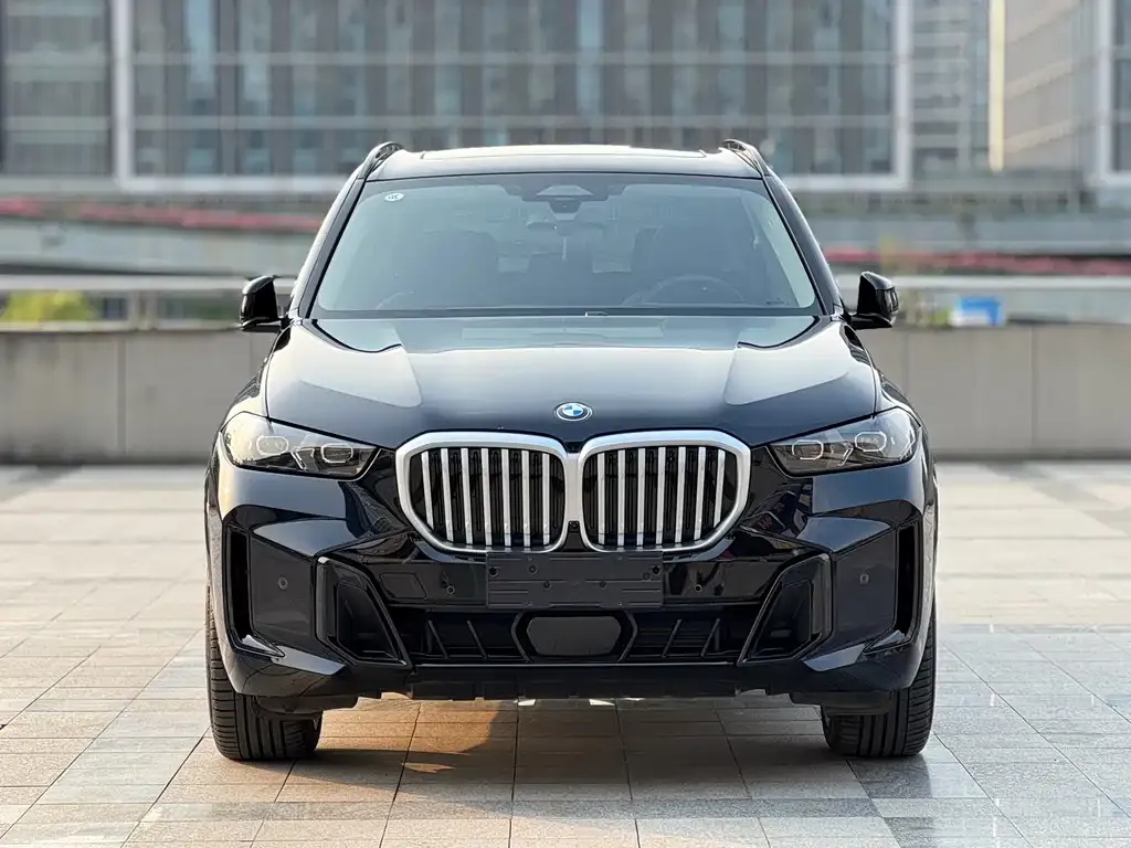 BMW X5 — фото 5