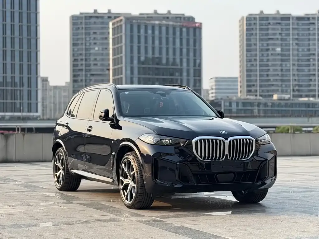 BMW X5 — фото 6