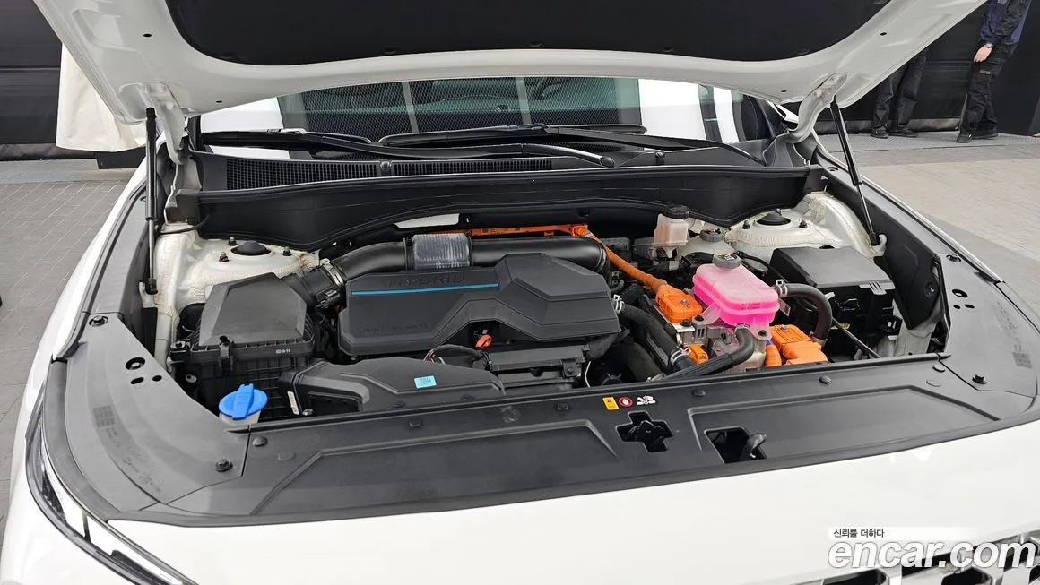 Hyundai Santafe 2023 из KR, фото 6