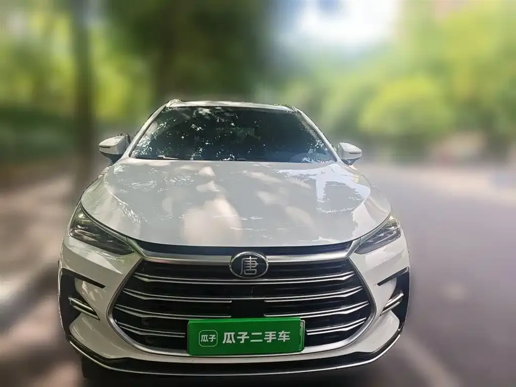 BYD Tang New Energy — фото 6