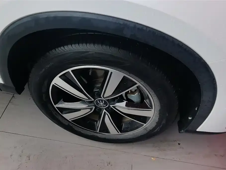BYD Pro New Energy 2023 из CN, фото 2