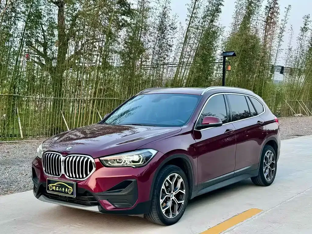 BMW X1 — фото 1