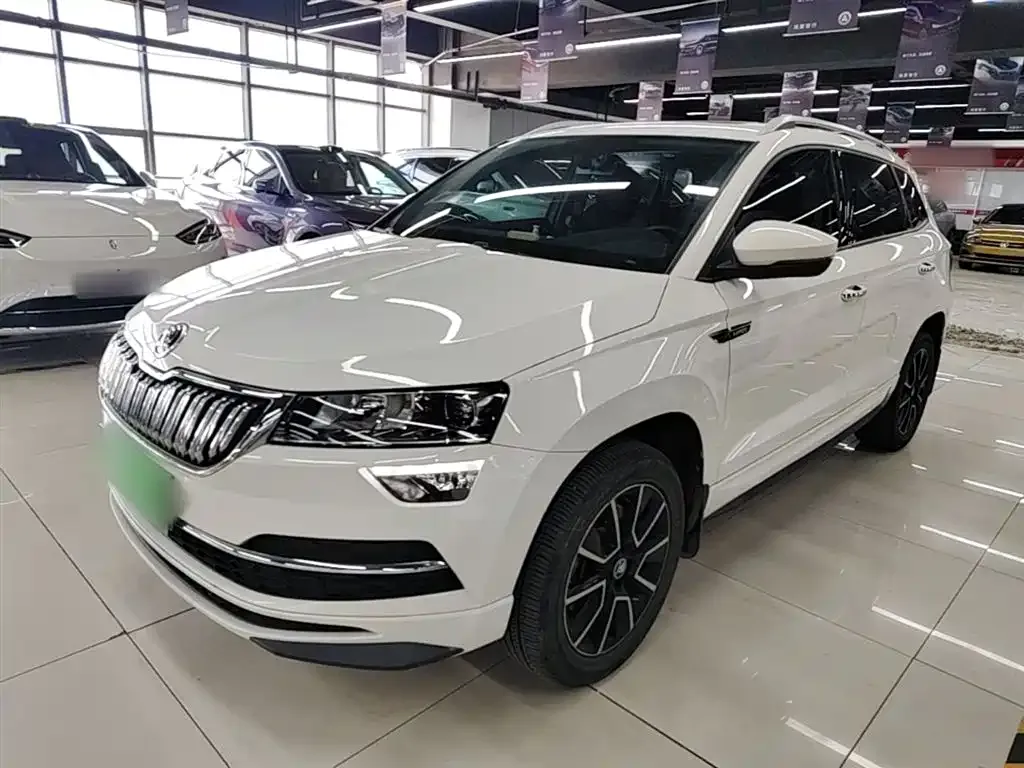 Skoda Karoq 2022 из CN, фото 5