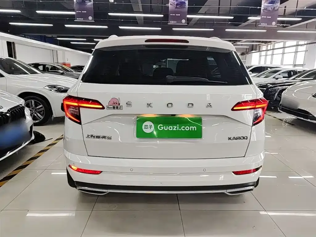 Skoda Karoq 2022 из CN, фото 10