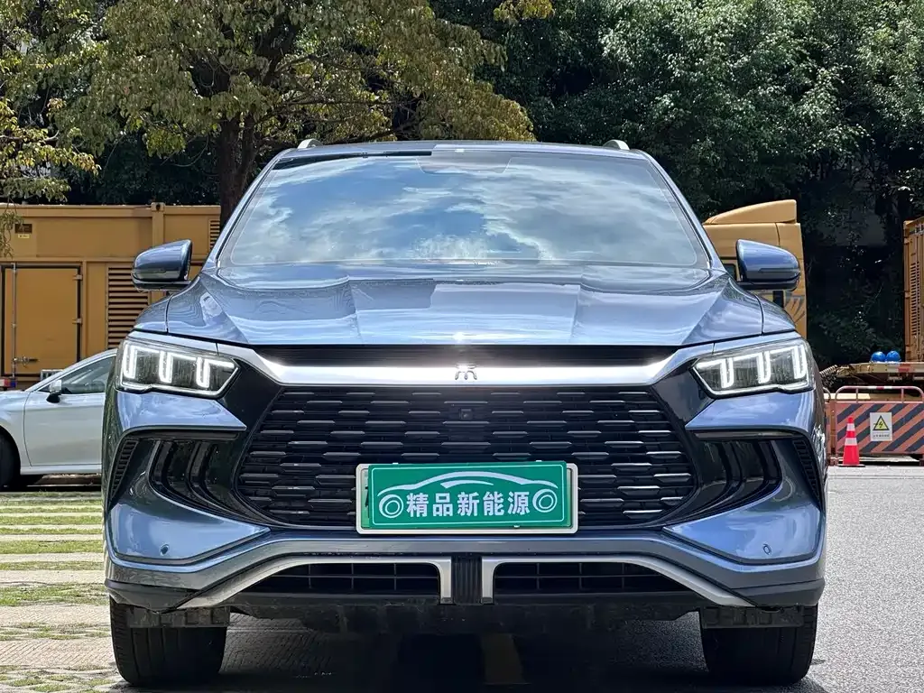 BYD Pro New Energy 2023 из CN, фото 9